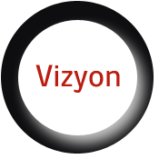 vizyon